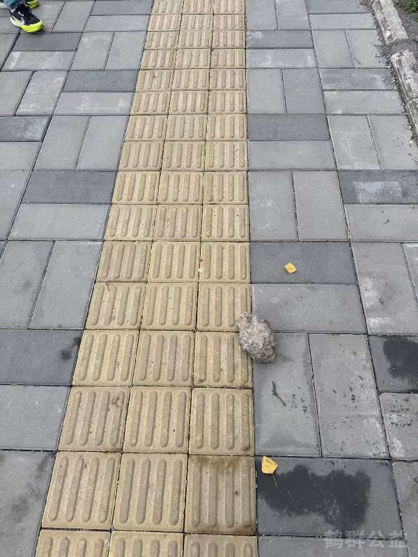 盲道问题反馈图
