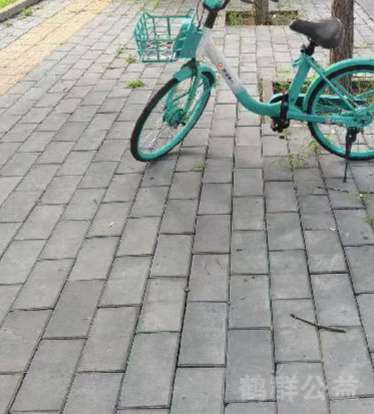 盲道问题处理后图片