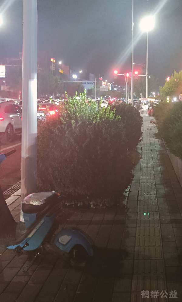 盲道问题处理后图片