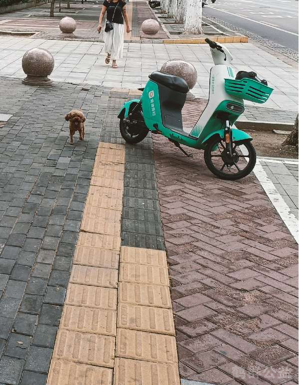 盲道问题反馈图