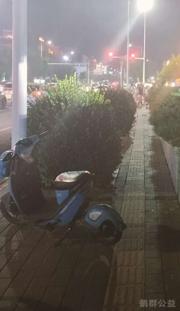 盲道问题反馈图