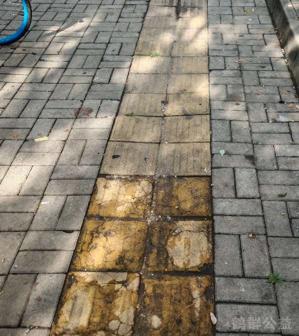 盲道问题处理后图片