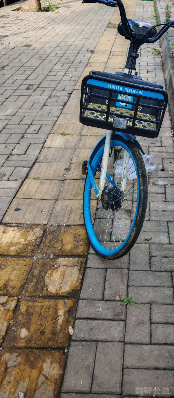 盲道问题反馈图