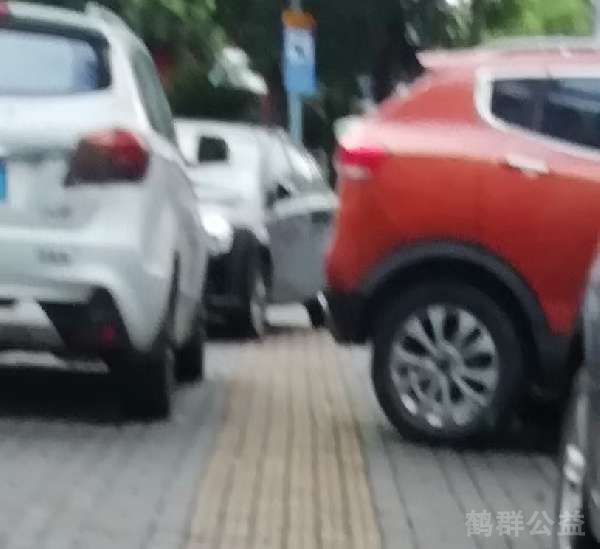 盲道问题反馈图