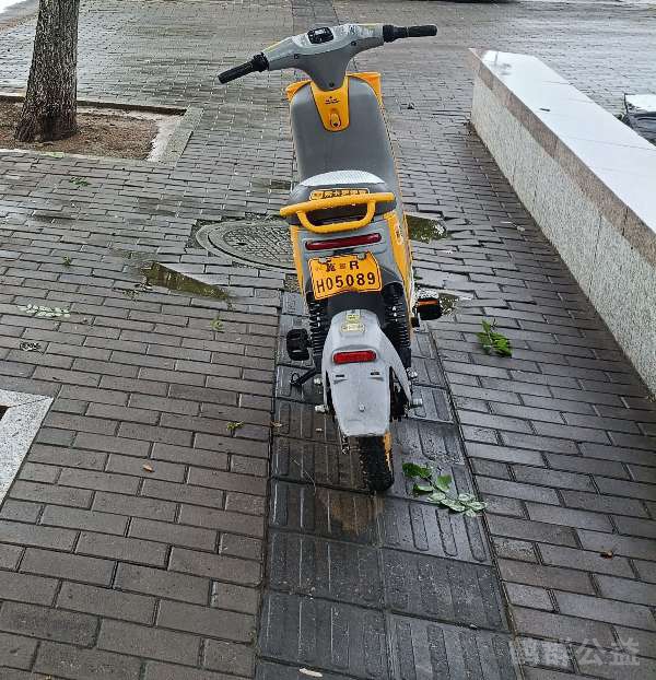 盲道问题反馈图