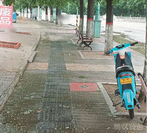 盲道问题处理后图片