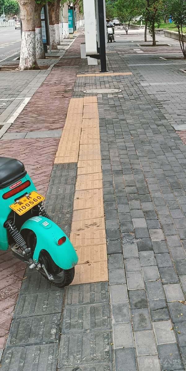 盲道问题反馈图