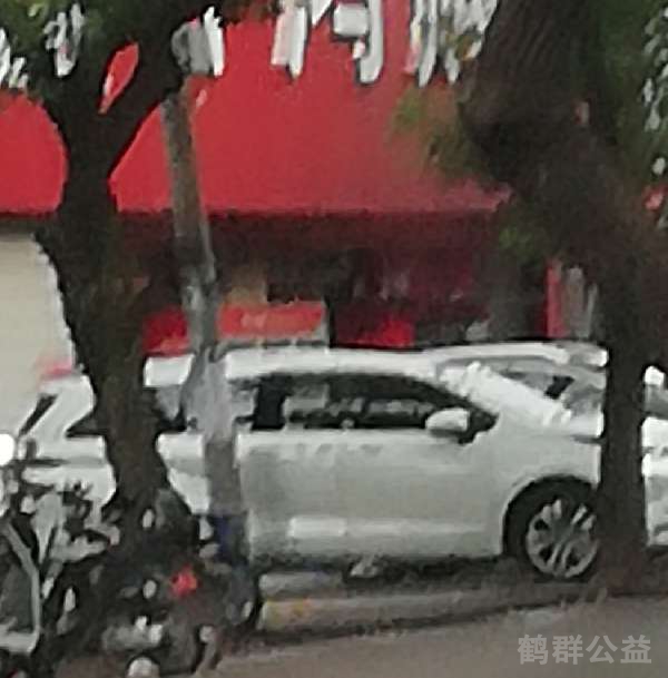 盲道问题反馈图