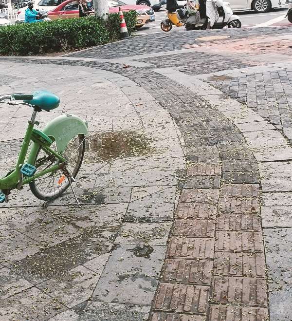 盲道问题处理后图片