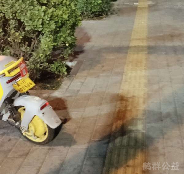 盲道问题处理后图片