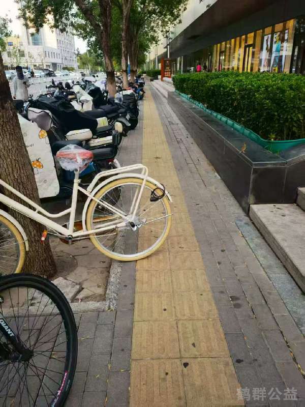 盲道问题反馈图