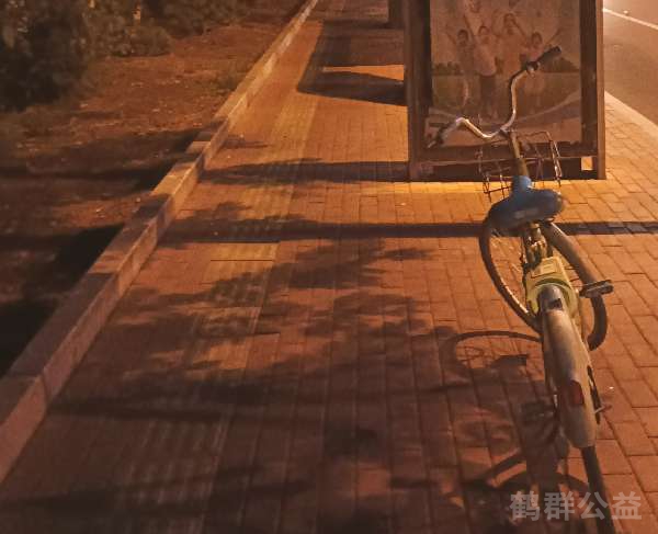 盲道问题处理后图片