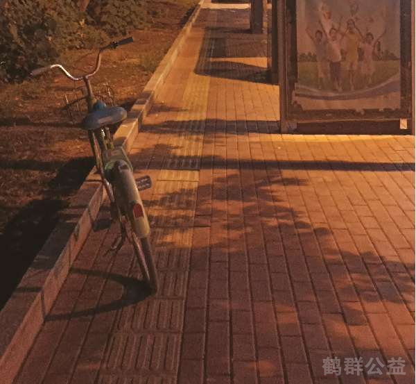 盲道问题反馈图