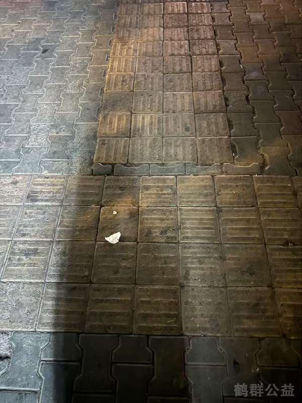 盲道问题反馈图