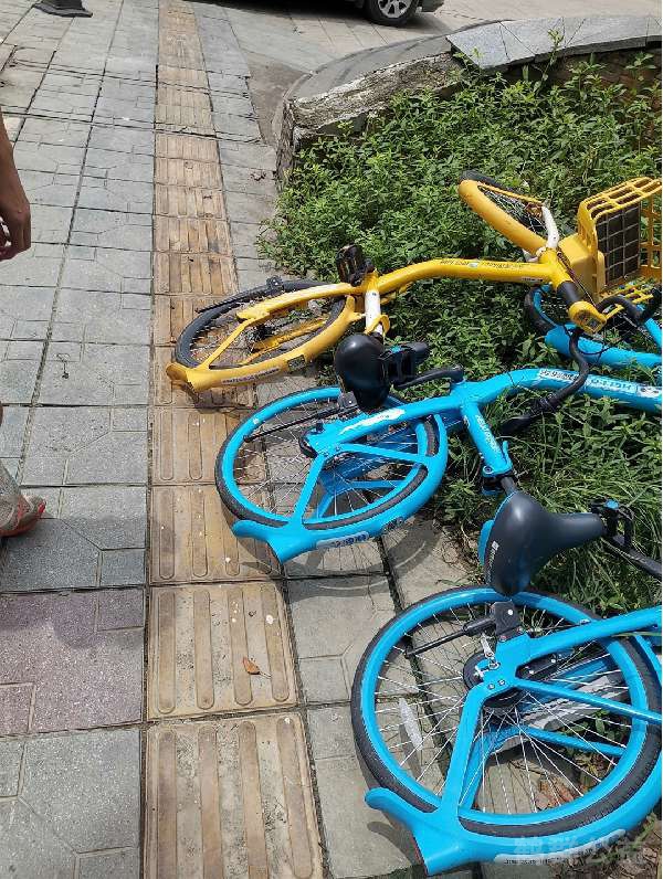 盲道问题反馈图