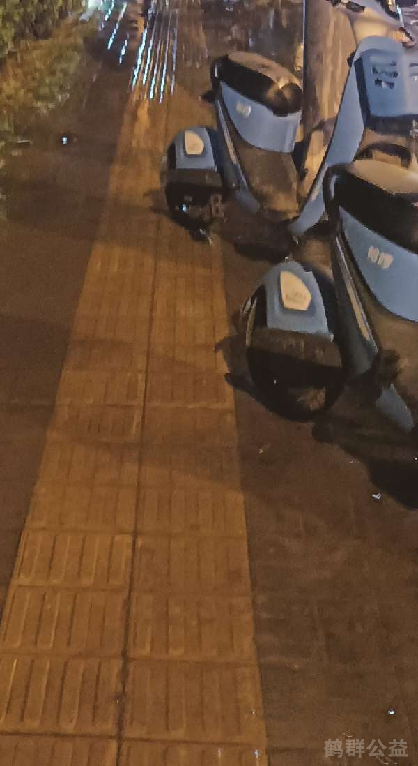 盲道问题反馈图