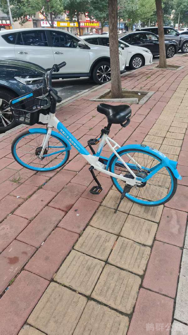 盲道问题反馈图