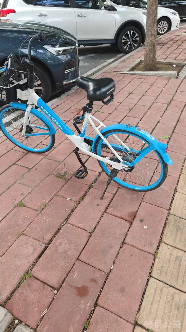 盲道问题处理后图片