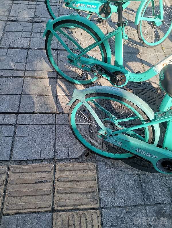 盲道问题反馈图