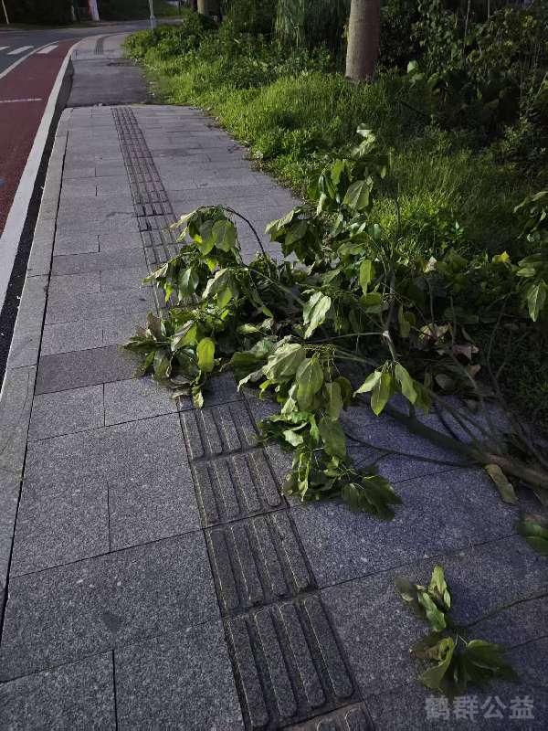 盲道问题反馈图