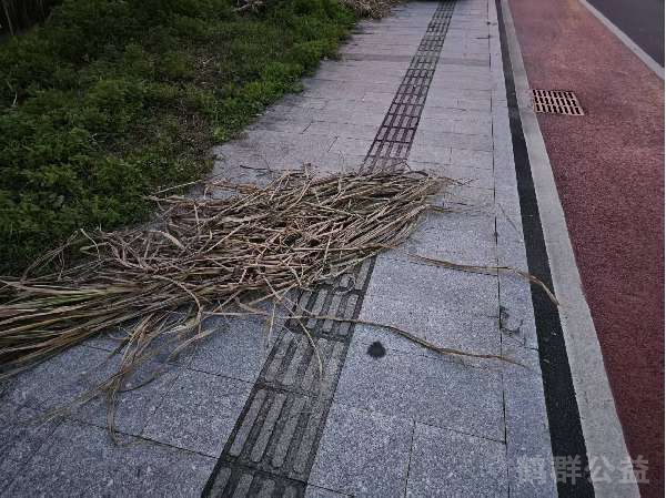 盲道问题反馈图
