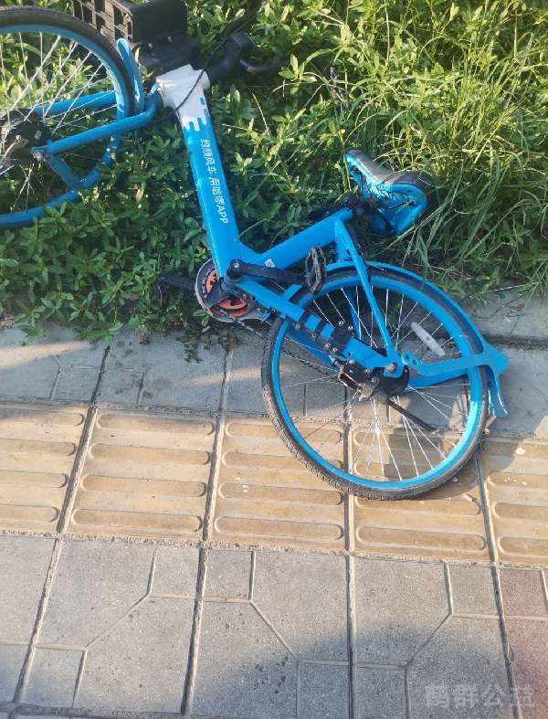 盲道问题反馈图