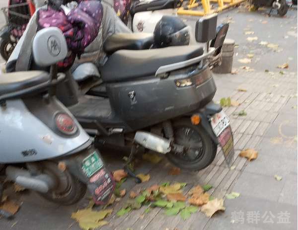盲道问题反馈图