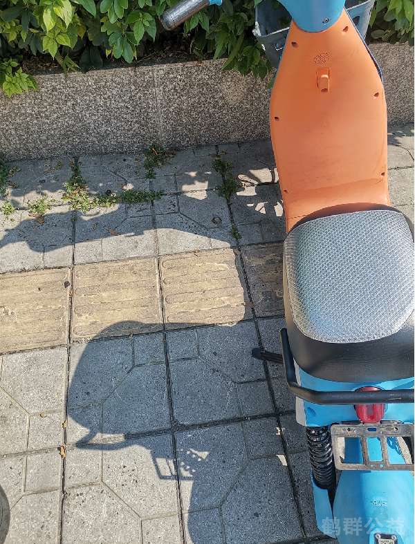 盲道问题反馈图