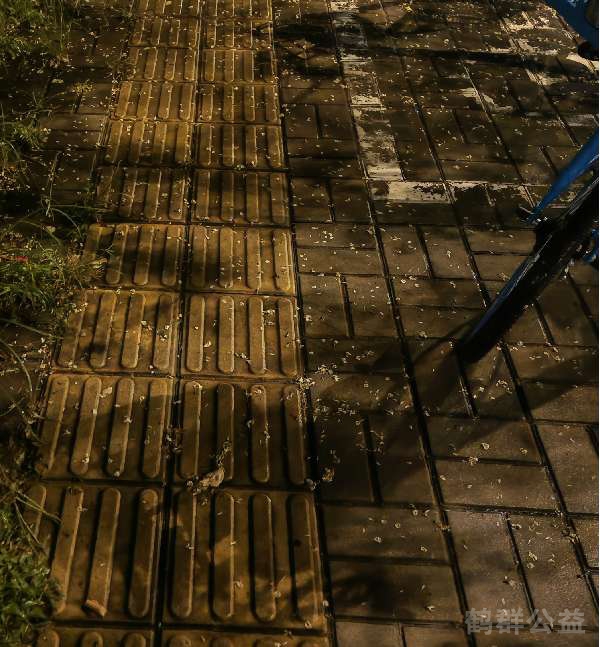 盲道问题处理后图片