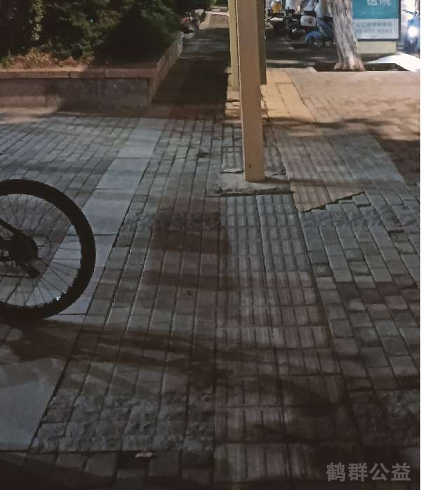 盲道问题反馈图