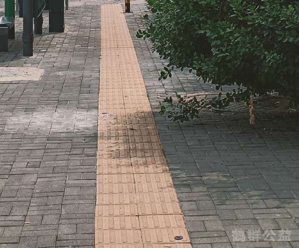 盲道问题处理后图片