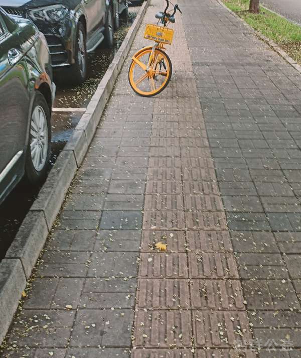 盲道问题反馈图