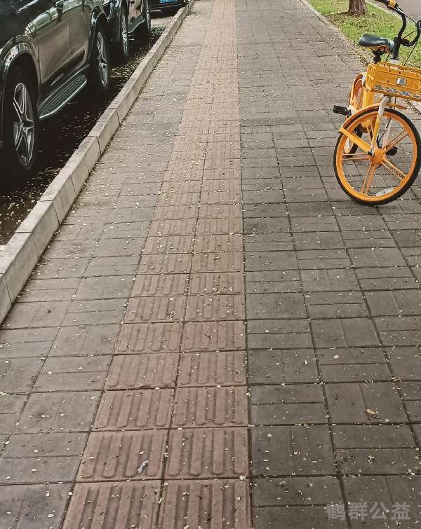 盲道问题处理后图片
