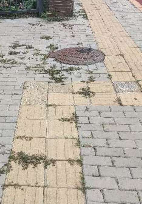 盲道问题处理后图片