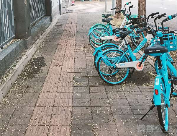 盲道问题处理后图片