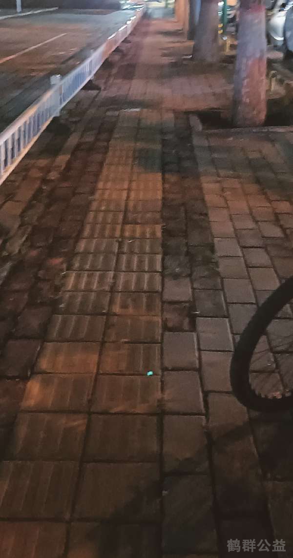 盲道问题处理后图片