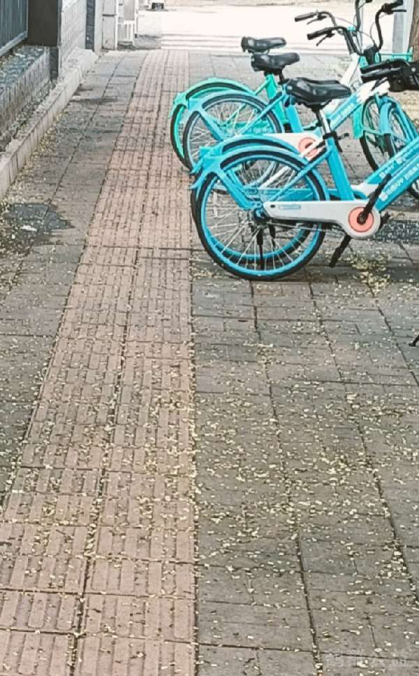 盲道问题反馈图