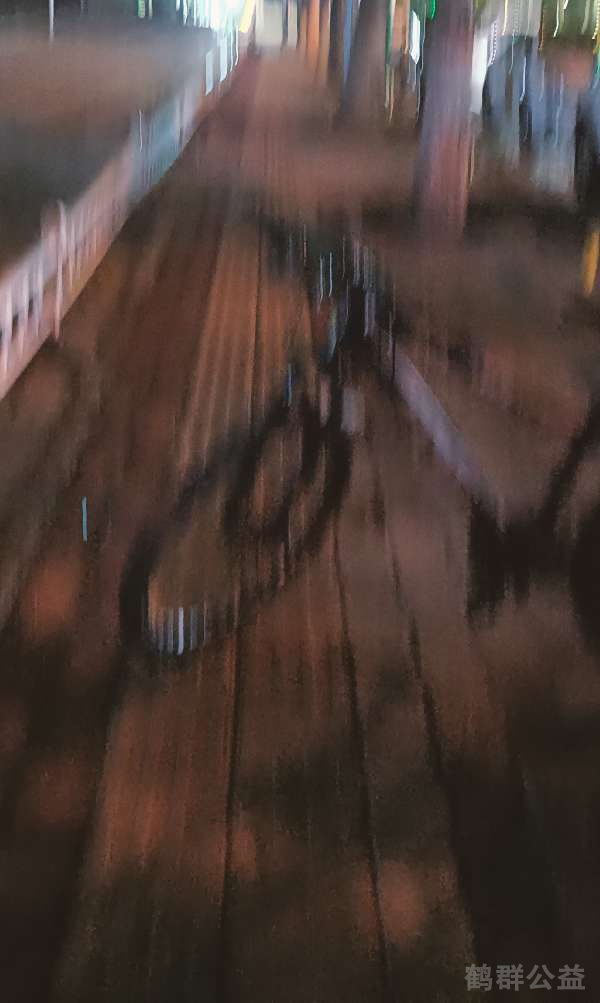 盲道问题反馈图