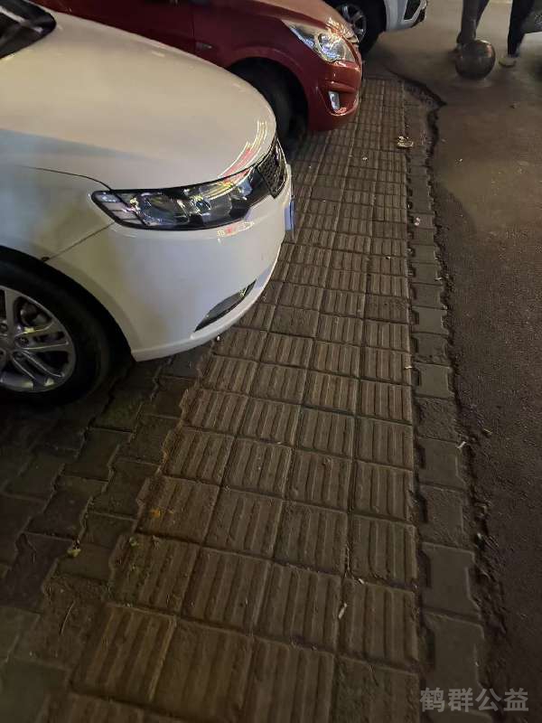 盲道问题反馈图