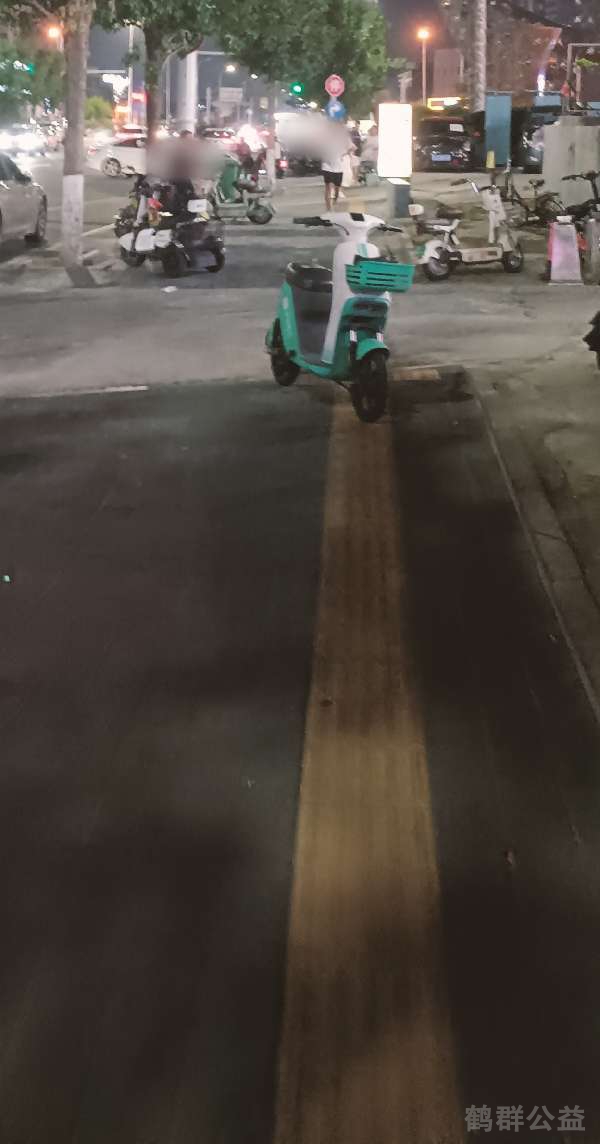 盲道问题反馈图