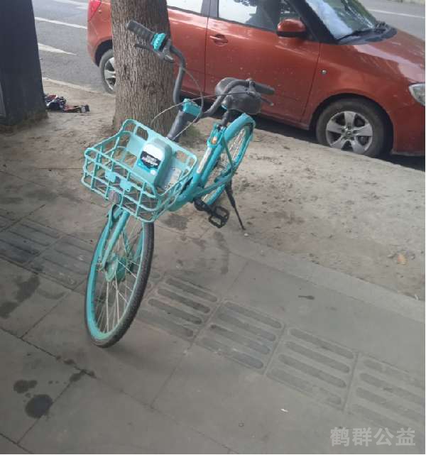 盲道问题反馈图