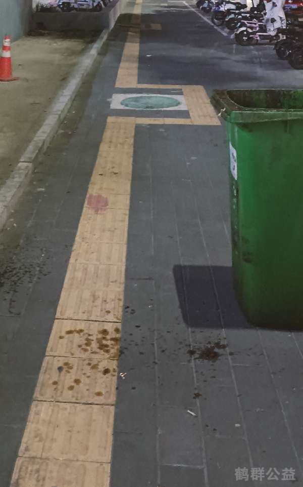 盲道问题处理后图片