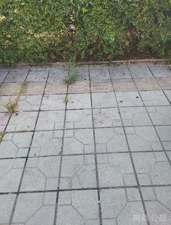 盲道问题处理后图片