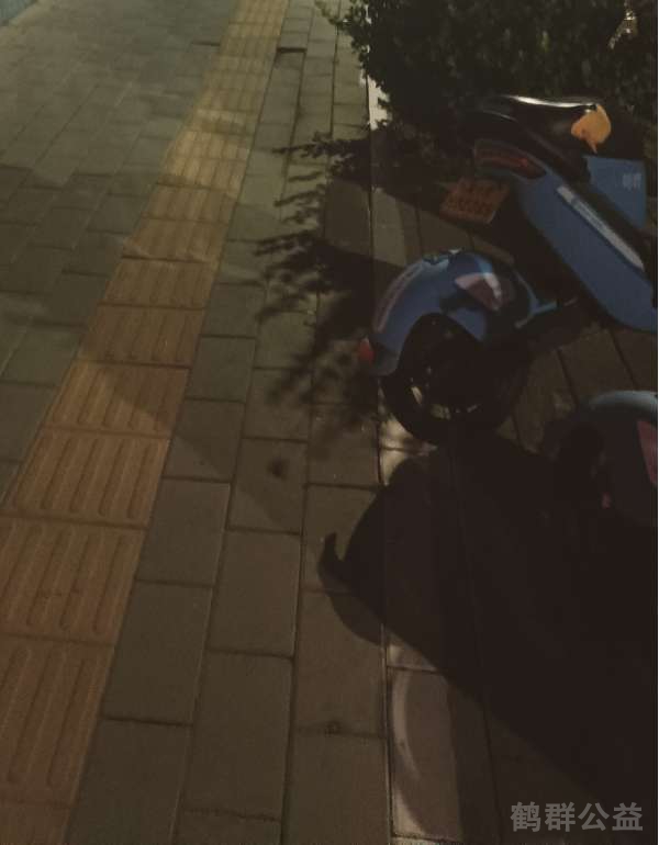 盲道问题处理后图片