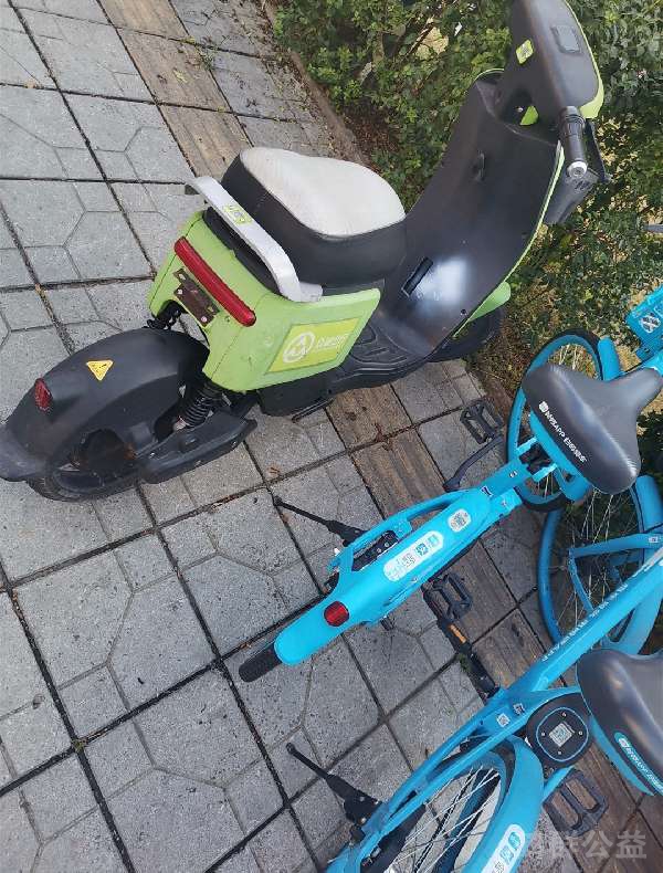 盲道问题反馈图