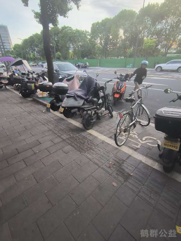 盲道问题处理后图片