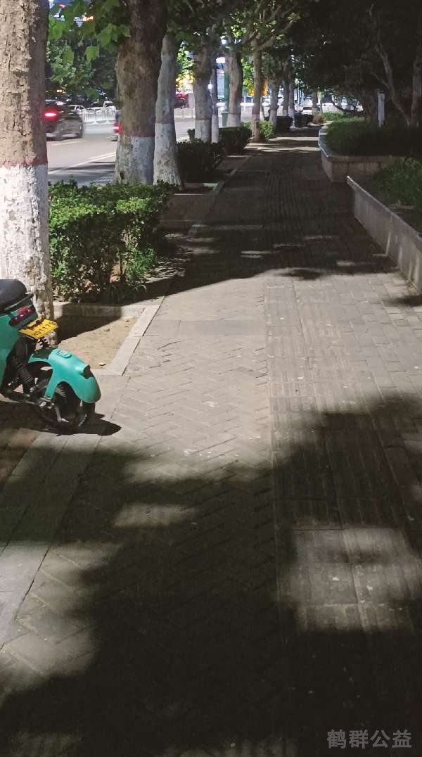 盲道问题处理后图片