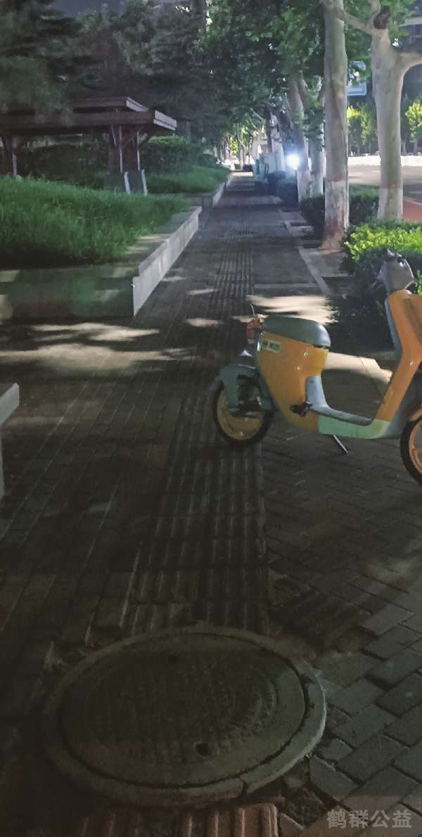 盲道问题反馈图