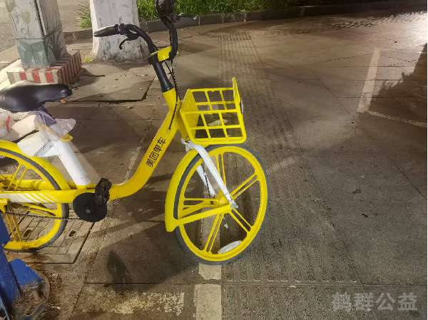 盲道问题反馈图