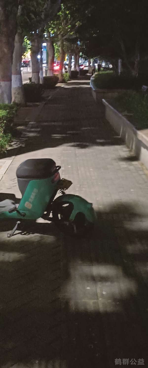 盲道问题反馈图